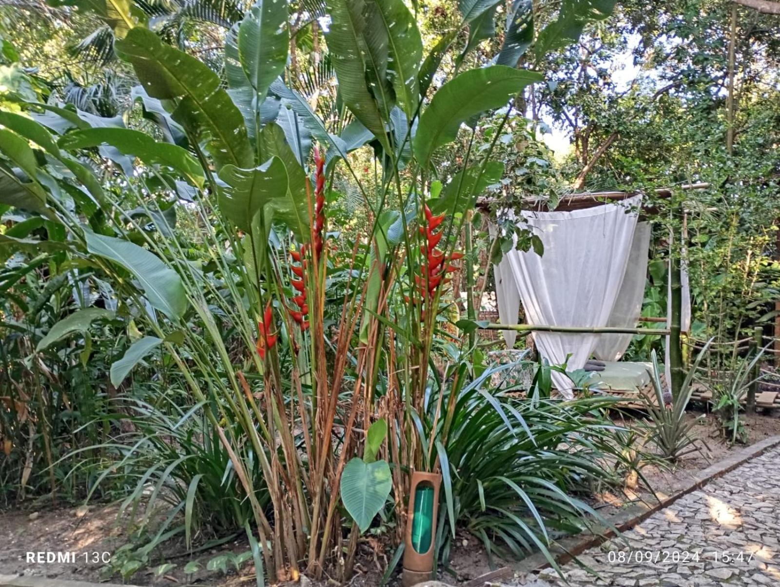 Casa Mestiça Velha Boipeba Exterior foto